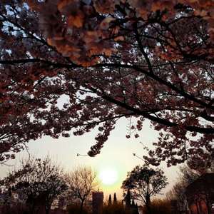 压在墙上酱酱酿酿的叫什么视频
